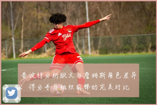 香波特分析欧文与詹姆斯角色差异：得分手与组织前锋的完美对比